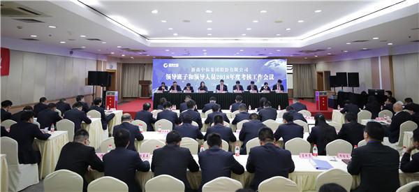 公司召开2018年度辅导班子和辅导人员查核工作会议